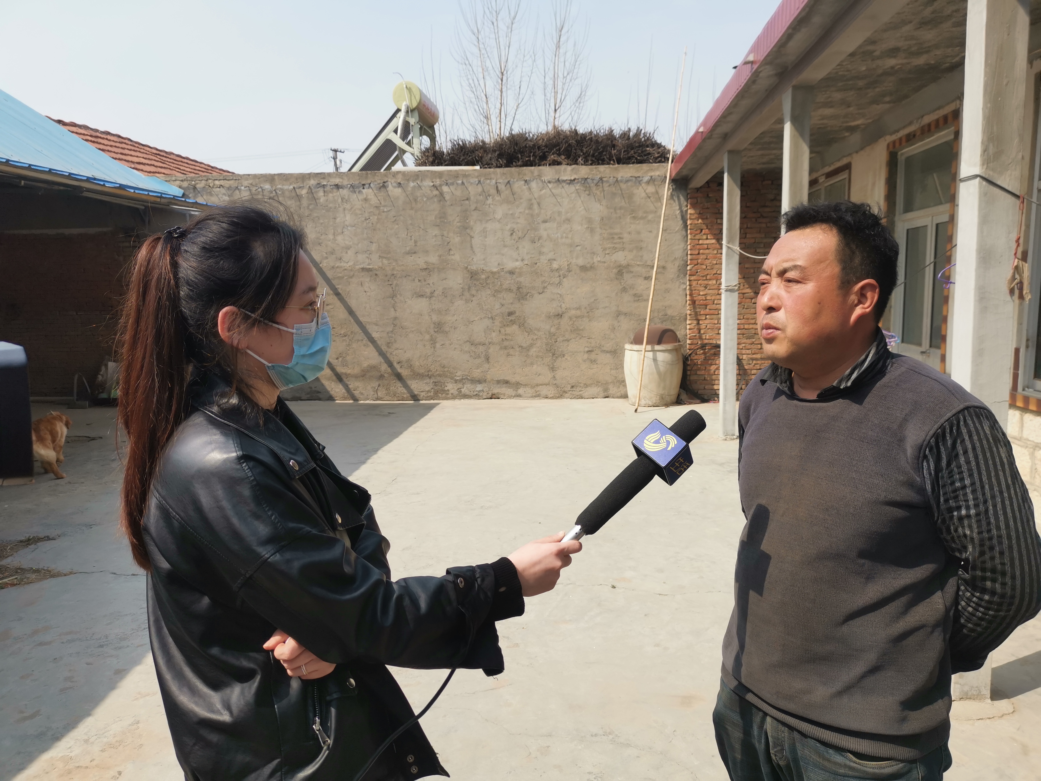第209所 平度市崔家集镇状元府华体会(中国)刘丽新小学 第209所 平度市崔家集镇状元府华体会(中国)刘丽新小学