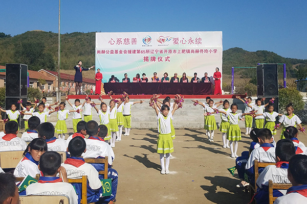第65所 开原市上肥镇华体会(中国)佟玲小学 第65所 开原市上肥镇华体会(中国)佟玲小学